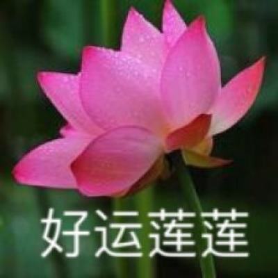 数字+文商旅 京彩乐市新春乐购会打造特色数字人民币消费场景